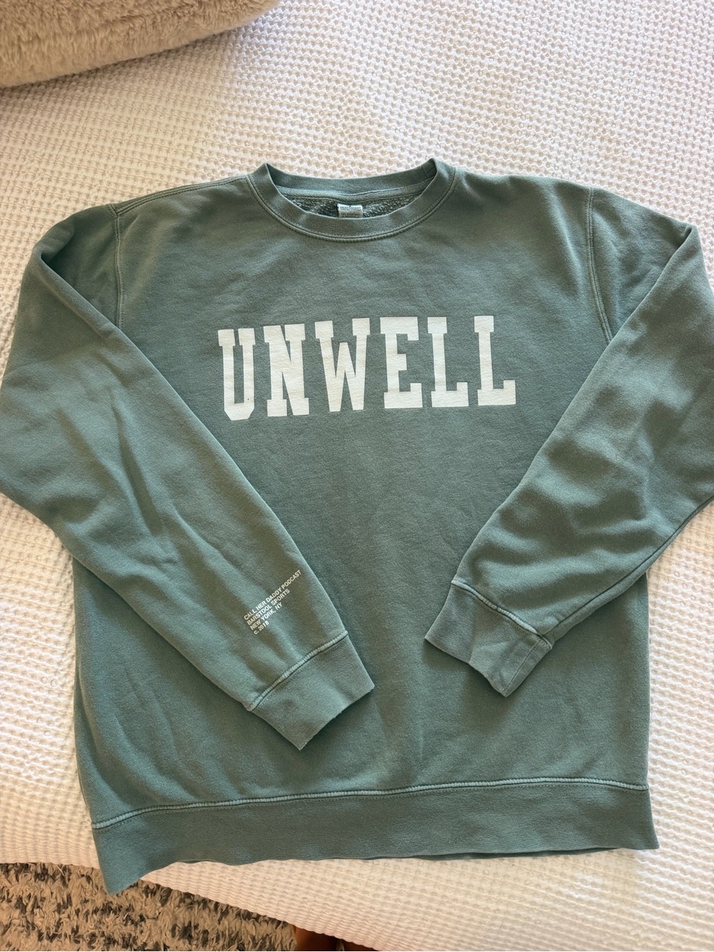 UNWELL - Barstool Crewneck Sweatshirt in Sage Green